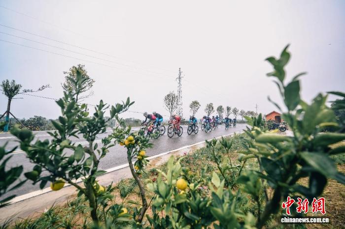 2025环漳河国际公路自行车赛在荆门漳河新区圆满